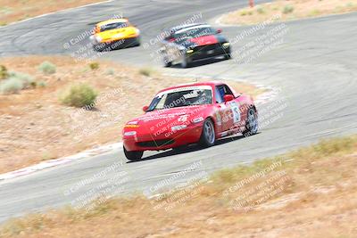 media/May-06-2023-Lucky Dog Racing (Sat) [[8f2256f436]]/Turn 4a 1140a/